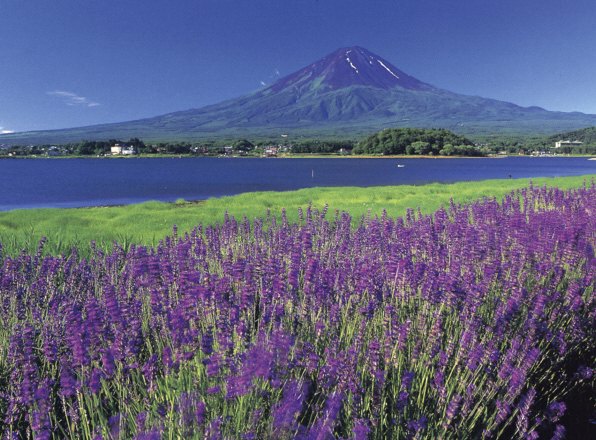 河口湖の風景