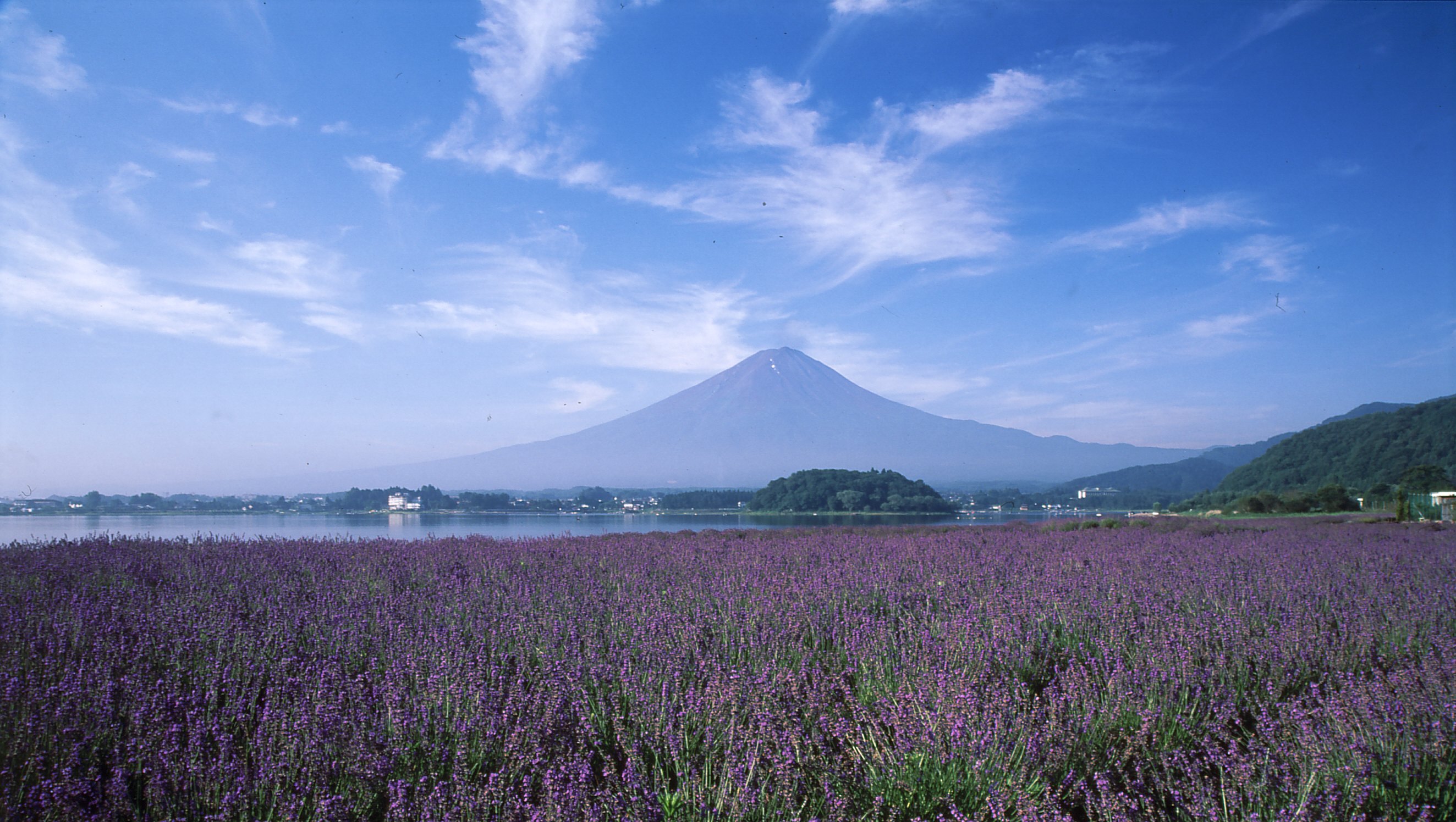 河口湖と富士山の風景