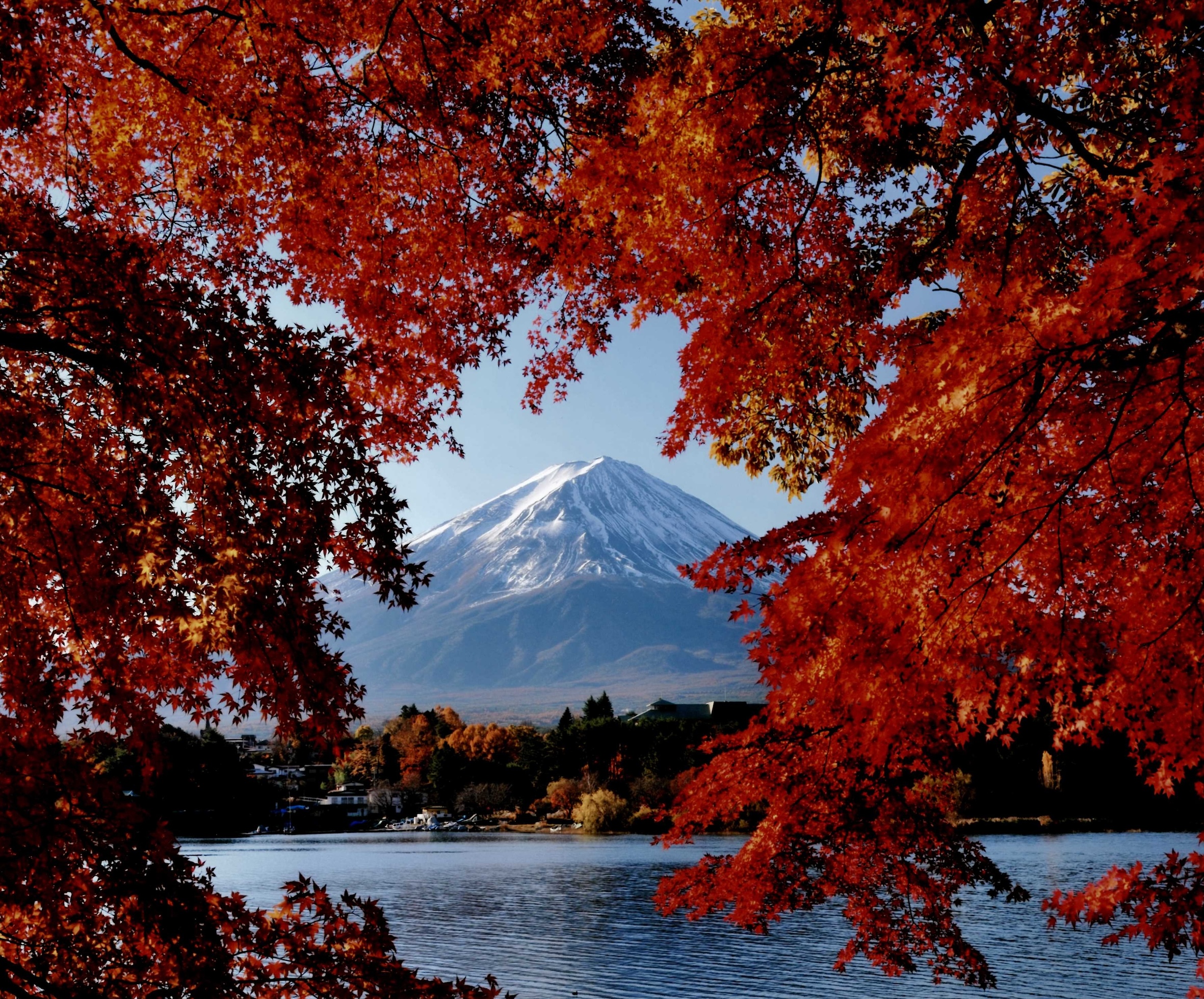 日中の富士山ともみじ回廊