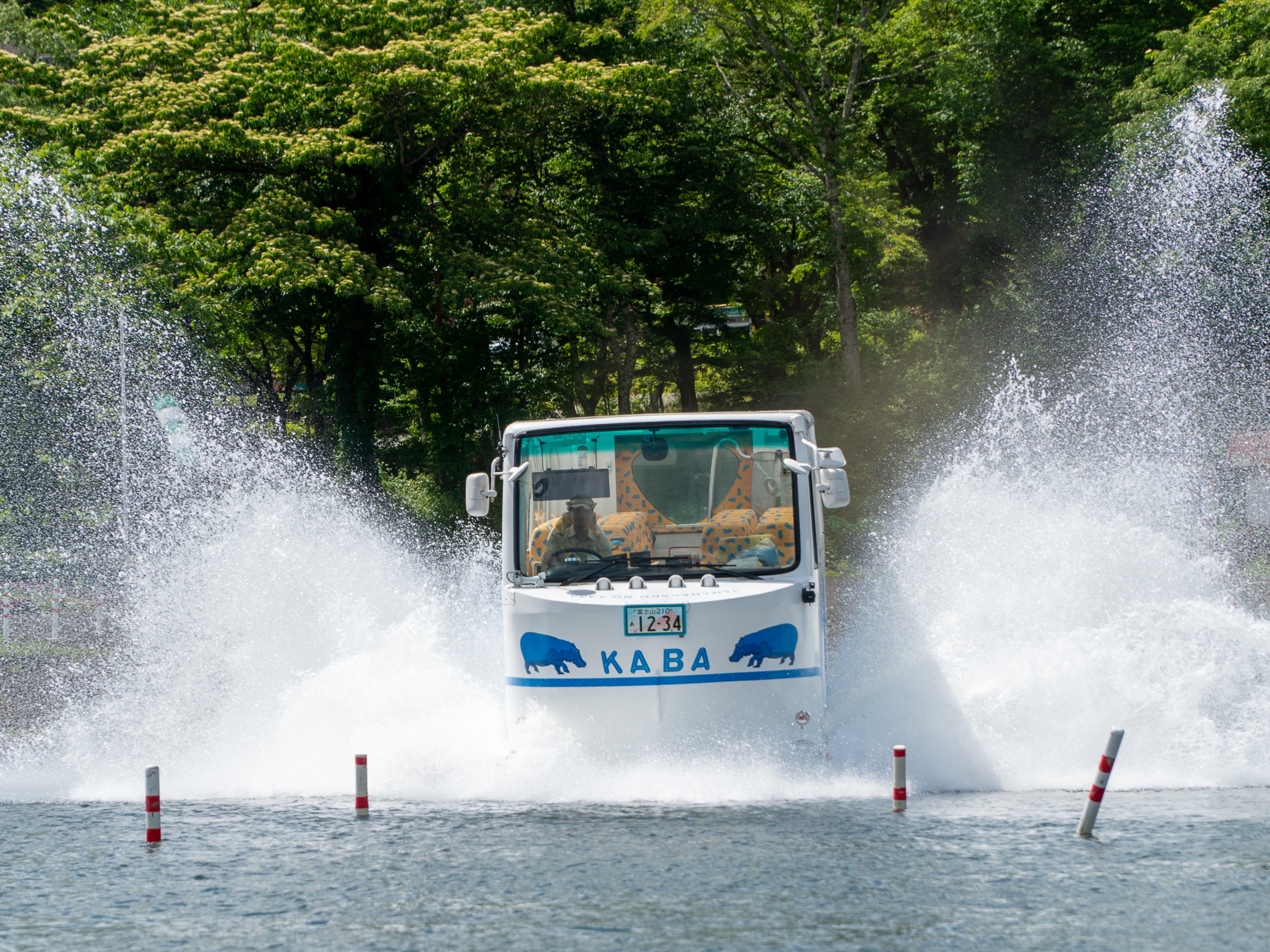 水陸両用バス「山中湖のカバ」