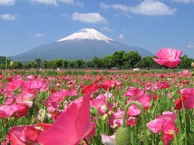 花の都公園