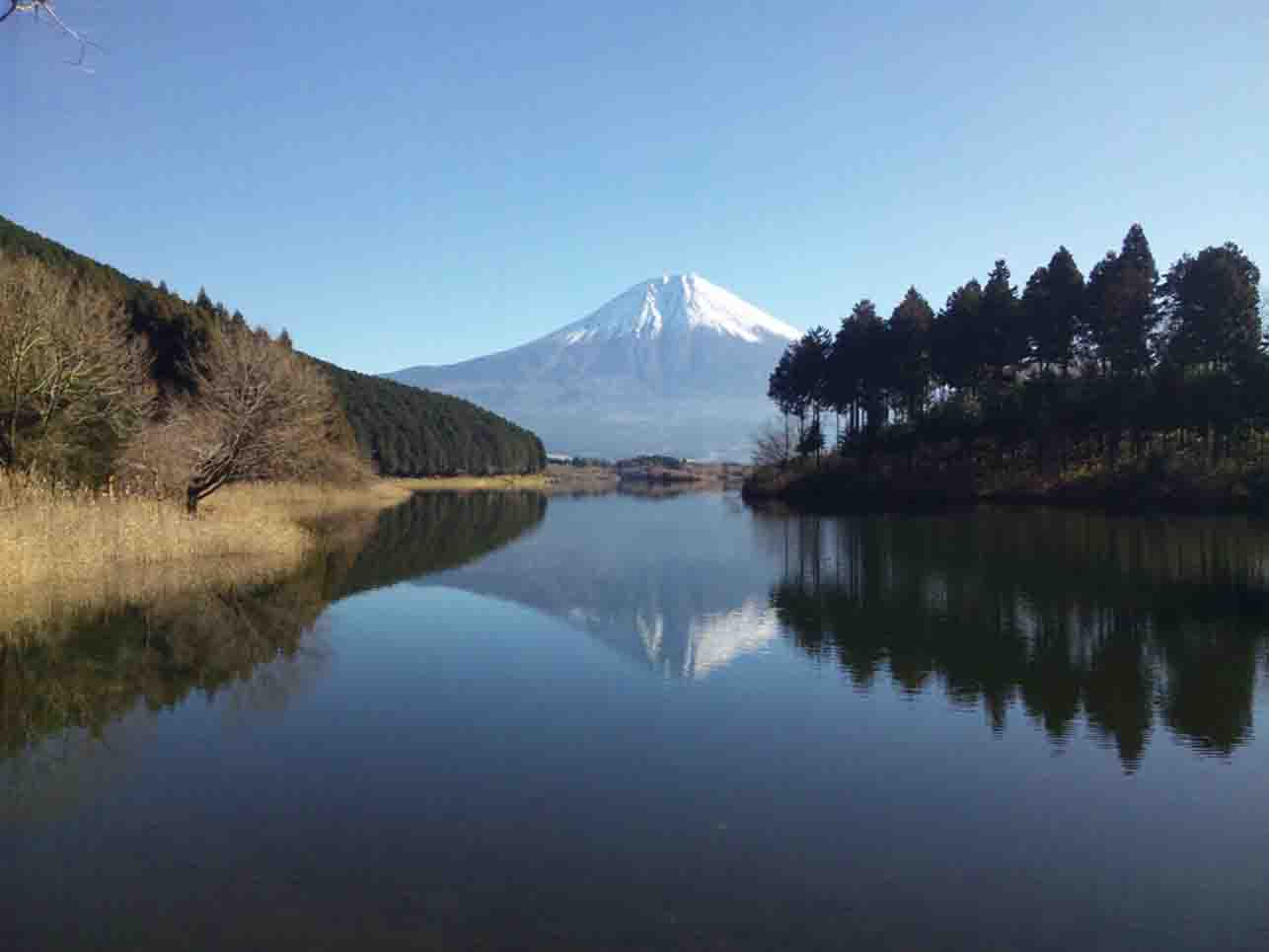 田貫湖