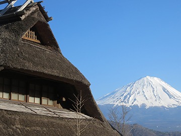 西湖いやしの里根場
