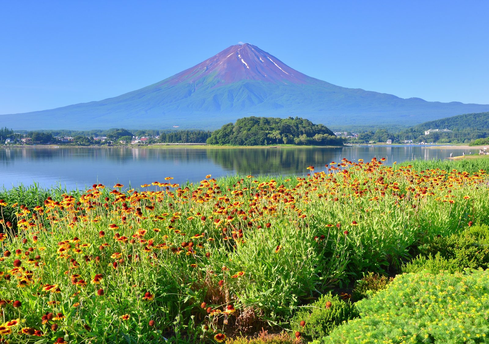 河口和富士山