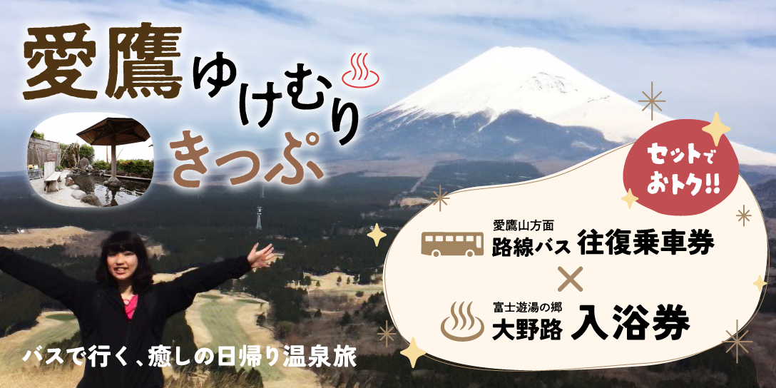 愛鷹ゆけむりきっぷ